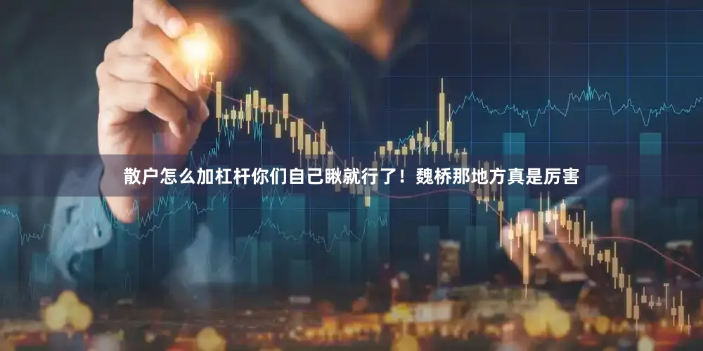 散户怎么加杠杆你们自己瞅就行了！魏桥那地方真是厉害